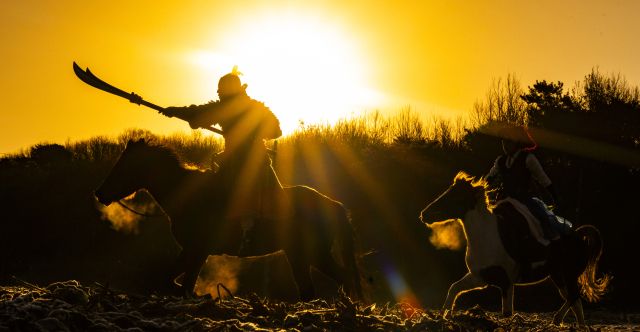 병오년 붉은 말의 해, 전국 곳곳 말들의 새해맞이 [포토뉴스]