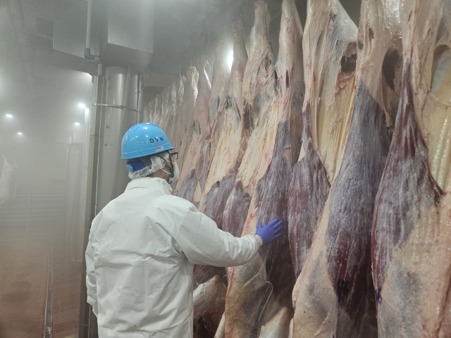 인천시 보건환경연구원 직원이 도축한 쇠고기와 돼지고기 등을 관리하고 있다. 인천시 제공