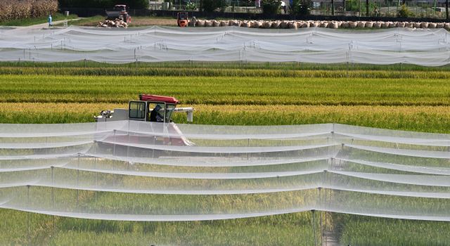 기사와 관련 없는 자료사진. 경기일보DB