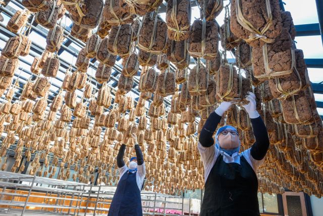 13일 안성시 서일농원에서 직원들이 메주를 살펴보고 있다. 윤원규기자