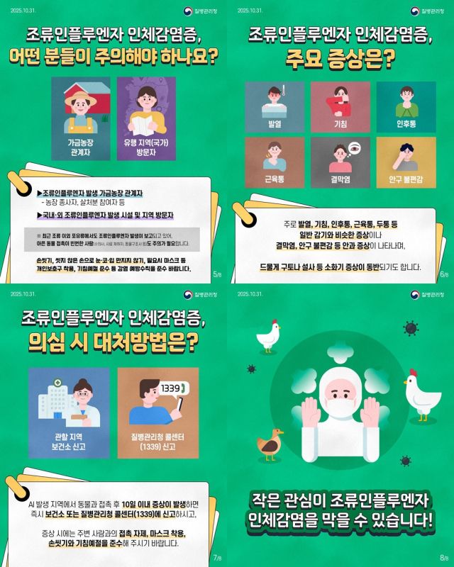 조류인플루엔자 감염과 예방수칙에 대한 포스터. 파주시 제공