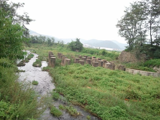 파주시 파주읍 하천에 설치된 용치 모습. 파주시 제공