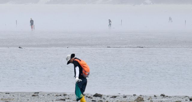 인천 중구 잠진도 앞 갯벌. 경기일보DB