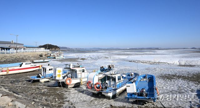 절기상 가장 춥다는 대한(大寒)인 20일 인천 중구 영종도 예단포 인근 갯벌 바닷물이 얼어 있다.조병석기자