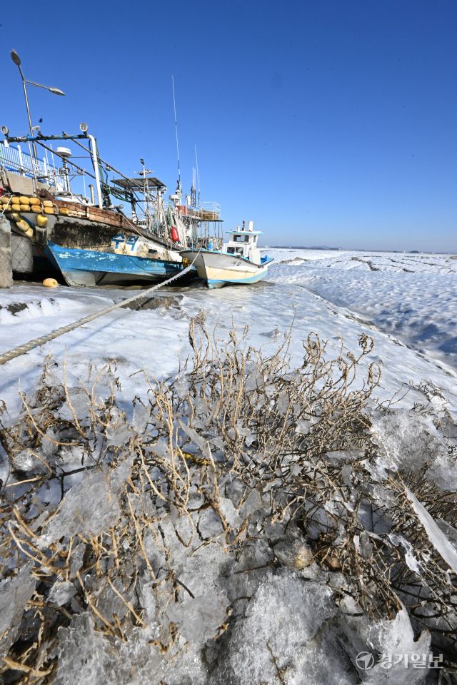절기상 가장 춥다는 대한(大寒)인 20일 인천 중구 영종도 예단포 인근 갯벌 바닷물이 얼어 있다.조병석기자