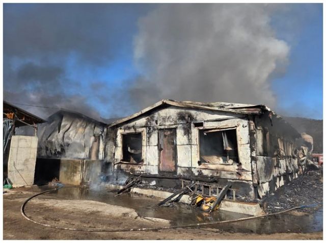 여주 점동면 돈사 화재현장. 경기도소방재난본부 제공