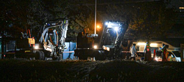 안성·포천 연쇄 확진…ASF 번지나, 방역 ‘초비상’ [포토뉴스]