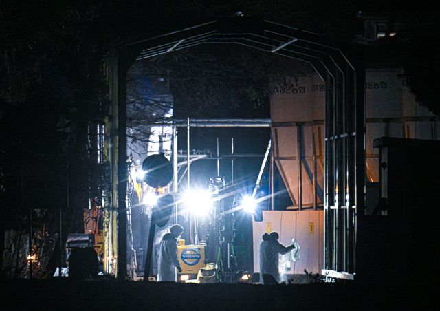 안성·포천 연쇄 확진…ASF 번지나, 방역 ‘초비상’ [포토뉴스]