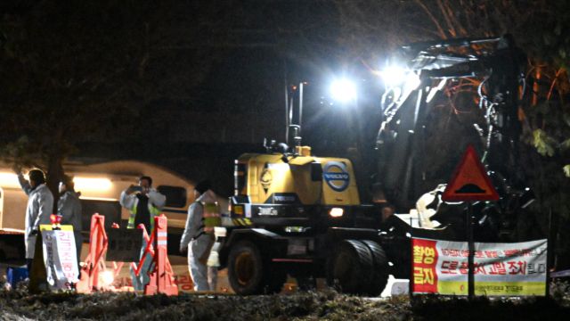 안성·포천 연쇄 확진…ASF 번지나, 방역 ‘초비상’ [포토뉴스]