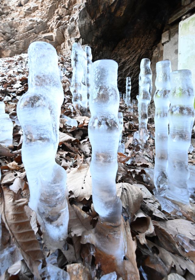 전국적으로 한파가 지속된 25일 인천 부평구 산곡동의 한 토굴 바닥에 역고드름이 자라고 있다. 역고드름은 물이 얼면서 부피가 커질 때 덜 얼어붙은 표면으로 물이 밀려나와 생성되는 현상이다. 조병석기자
