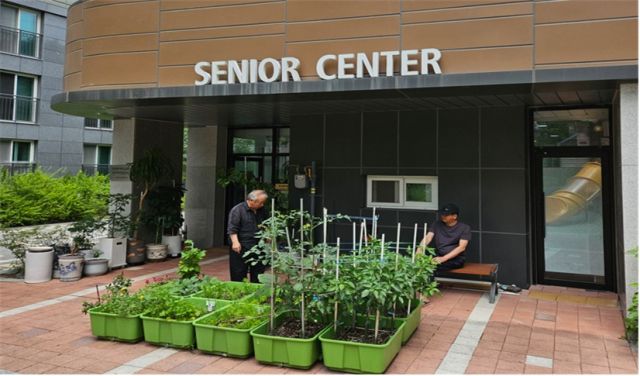 의왕시 시니어센터에 조성된 ‘쑥쑥튼튼 상자텃밭’. 의왕시 제공