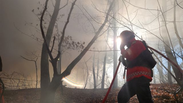 고양시 일산동구 산불 현장. 연합뉴스