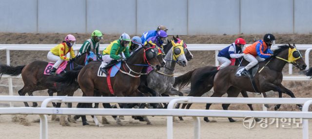 붉은 말의 해인 2026년 병오년 첫 경기가 열린 한국마사회 과천 렛츠런파크에서 경기가 진행되고 있다. 지난 2023년부터 구매 가능한 온라인 마권의 경우 올해부터는 경주당 베팅금액 상한을 10만원으로 상향됐다. 마사회 관계자는 "붉은 말의 해인 올해에는 시민 여러분들 위해 다양한 이벤트와 볼거리를 준비하겠다"고 밝혔다. 윤원규기자