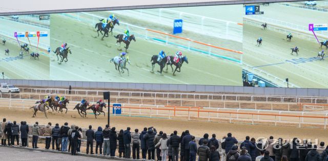 붉은 말의 해인 2026년 병오년 첫 경기가 열린 한국마사회 과천 렛츠런파크에서 경기가 진행되고 있다. 지난 2023년부터 구매 가능한 온라인 마권의 경우 올해부터는 경주당 베팅금액 상한을 10만원으로 상향됐다. 마사회 관계자는 "붉은 말의 해인 올해에는 시민 여러분들 위해 다양한 이벤트와 볼거리를 준비하겠다"고 밝혔다. 윤원규기자