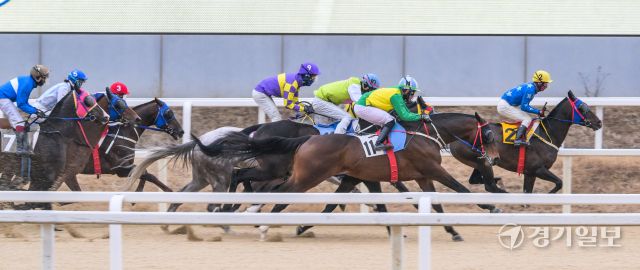 붉은 말의 해인 2026년 병오년 첫 경기가 열린 한국마사회 과천 렛츠런파크에서 경기가 진행되고 있다. 지난 2023년부터 구매 가능한 온라인 마권의 경우 올해부터는 경주당 베팅금액 상한을 10만원으로 상향됐다. 마사회 관계자는 "붉은 말의 해인 올해에는 시민 여러분들 위해 다양한 이벤트와 볼거리를 준비하겠다"고 밝혔다. 윤원규기자