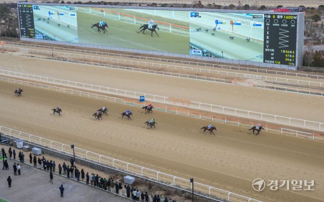 붉은 말의 해인 2026년 병오년 첫 경기가 열린 한국마사회 과천 렛츠런파크에서 경기가 진행되고 있다. 지난 2023년부터 구매 가능한 온라인 마권의 경우 올해부터는 경주당 베팅금액 상한을 10만원으로 상향됐다. 마사회 관계자는 "붉은 말의 해인 올해에는 시민 여러분들 위해 다양한 이벤트와 볼거리를 준비하겠다"고 밝혔다. 윤원규기자