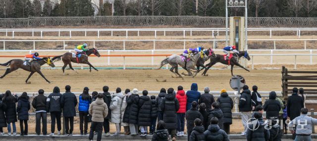 붉은 말의 해인 2026년 병오년 첫 경기가 열린 한국마사회 과천 렛츠런파크에서 경기가 진행되고 있다. 지난 2023년부터 구매 가능한 온라인 마권의 경우 올해부터는 경주당 베팅금액 상한을 10만원으로 상향됐다. 마사회 관계자는 "붉은 말의 해인 올해에는 시민 여러분들 위해 다양한 이벤트와 볼거리를 준비하겠다"고 밝혔다. 윤원규기자