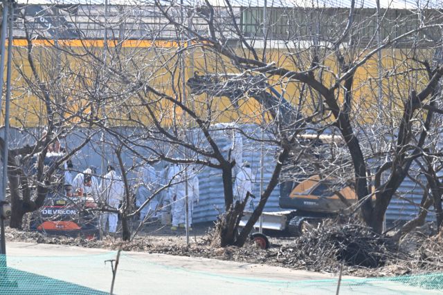 31일 오전 9시께 인천 강화군 송해면 상도리의 한 축산 농가에 굴착기 2대를 비롯해 소를 옮길 지게차와 비닐을 실은 트럭 등이 구제역으로 인한 소 246마리 살처분을 준비하고 있다. 조병석 기자