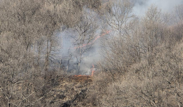 연천군 중면 야산 산불. 연합뉴스
