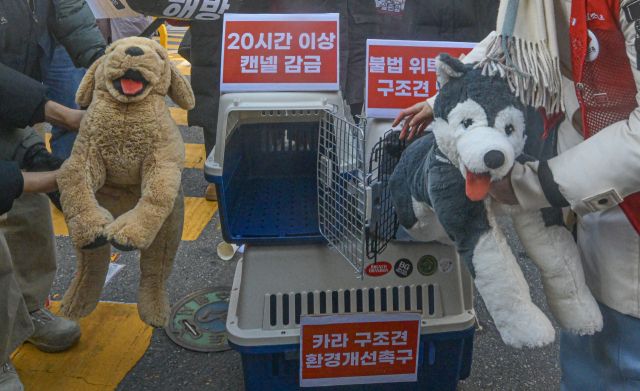 구조견을 해방하라! [포토뉴스]