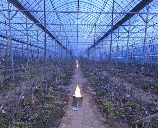 파주시의 과수 저비용 동상해 예방기술 투입 시범 사업 현장 모습. 파주시 제공