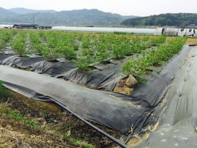 4. 파주시, 2026년 환경친화형 농자재 지원사업 신청 시작