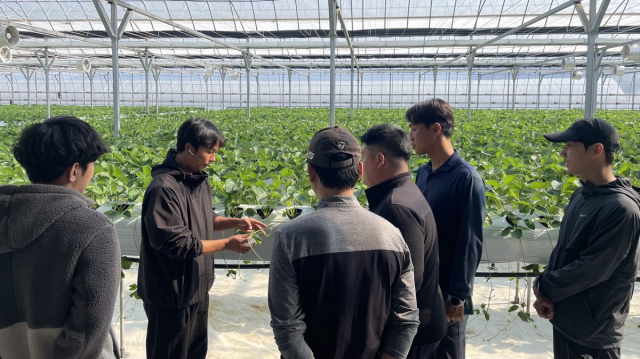 포천시 청년농부 학습동아리에서 청년농업인들이 영농 현장 중심 교육을 자율적으로 기획·운영하고 있다. 포천시제공