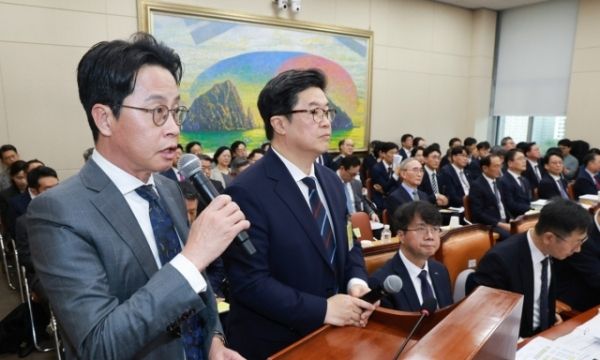 정무위 국감, 의원 질의에 답하는 조좌진 롯데카드 대표이사(왼쪽)와 김병주 MBK파트너스 회장(오른쪽). 연합뉴스