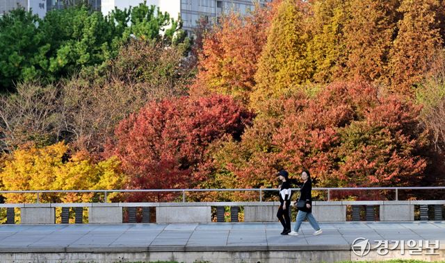 기사의 이해를 돕기 위한 이미지로 기사 내용과 직접적인 관련은 없습니다. 경기일보DB