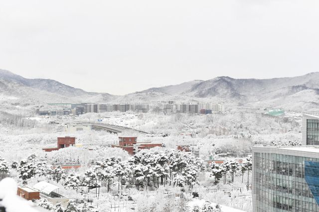 정부 1·29 ‘도심 주택공급 확대 및 신속화방안에 포함된 성남시청 주변. 성남시 제공