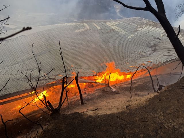 포천시 신북면 신평리 한 폐목재 공장 화재현장. 포천소방서 제공