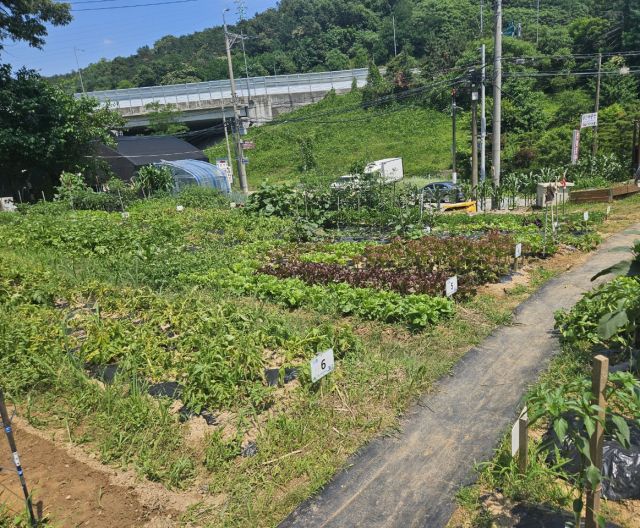 의왕시 내손2 주말농장 전경. 의왕시 제공