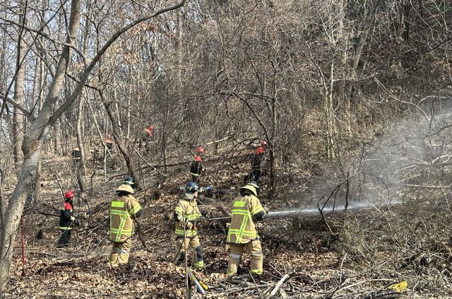 2025년 3월 실시한 과천시 산불 대응 합동 훈련 모습. 과천시 제공