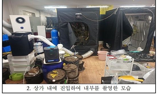 마약합수본이 적발한 대마 재배 시설. 마약범죄 정부합동수사본부 제공