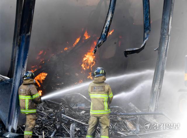 기사 내용을 바탕으로 AI를 통해 제작된 일러스트. 경기일보 AI 뉴스 이미지