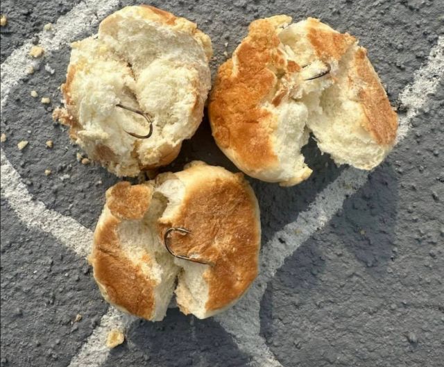 낚싯바늘 박힌 빵. 사회관계망서비스(SNS) 게시글 갈무리