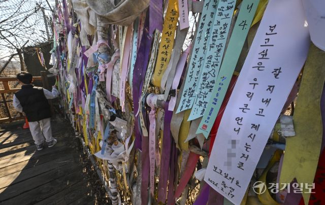17일 오전 파주시 임진각 자유의 다리에 북녘에 있는 가족을 그리워하는 문구가 붙어 있다.