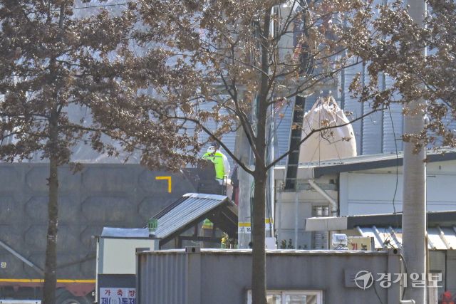 지난 17일 포천시 창수면 한 산란계 농장(38만여마리)에 고병원성 조류인플루엔자가 확진됐다. 포천시에서 고병원성 조류인플루엔자가 발생한 것은 2021년 2월 이후 5년만이다. 사진은 18일 방역관계자들이 살처분 등 방역조치를 진행하고 있다. 홍기웅기자