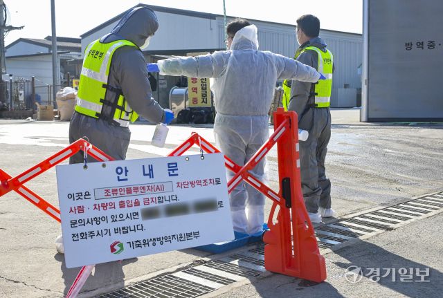 포천시 창수면 한 산란계 농장에서 지난 17일 고병원성 조류인플루엔자(AI)가 확진됐다. 포천에서 AI가 발생한 것은 2021년 2월 이후 5년 만이다. 사진은 18일 오전 살처분이 진행되고 있는 발병 농장 주변에서 출입을 통제하는 방역관계자들. 홍기웅기자