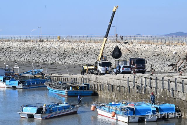 절기상 우수인 19일 오전 화성특례시 서신면 궁평항에서 어민들이 해상 양식장에서 수확한 물김을 육지로 옮기고 있다. 김시범기자