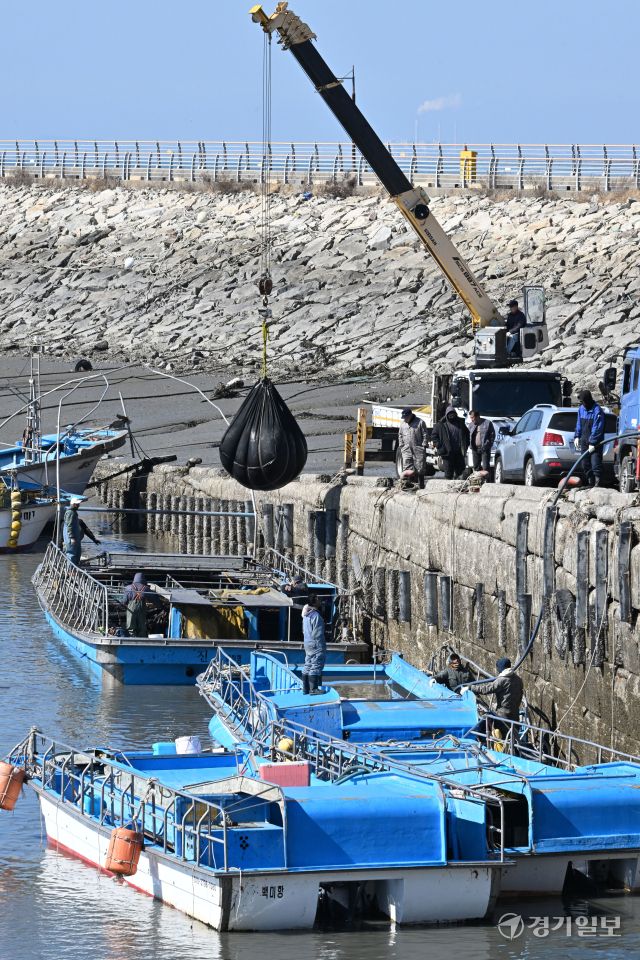 절기상 우수인 19일 오전 화성특례시 서신면 궁평항에서 어민들이 해상 양식장에서 수확한 물김을 육지로 옮기고 있다. 김시범기자