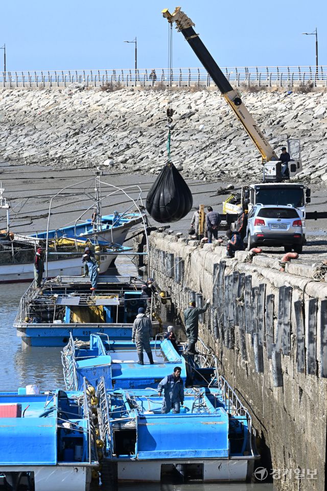 절기상 우수인 19일 오전 화성특례시 서신면 궁평항에서 어민들이 해상 양식장에서 수확한 물김을 육지로 옮기고 있다. 김시범기자