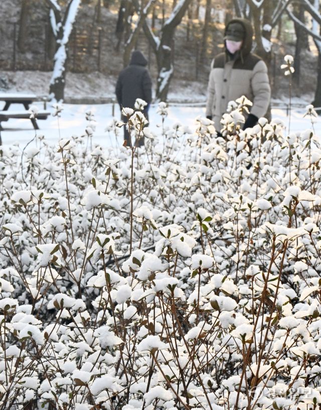 밤사이 눈이 내린 2일 인천 남동구 인천대공원을 찾은 시민들이 눈길을 걷고 있다. 조병석기자