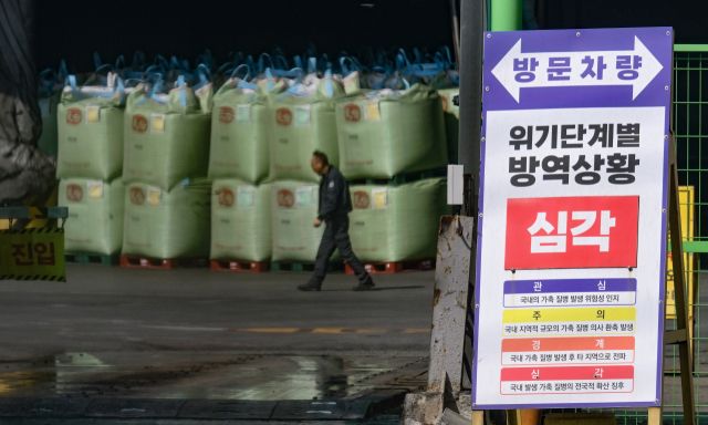 21일 안산시 한 사료업체 앞 위기단계별 방역상황 안내판에 국내 발생 가축 질병이 전국적으로 확산하는 징후가 나타날 때 발령되는 ‘심각’ 단계가 표시돼 있다. 전날 아프리카돼지열병(ASF) 확산 과정에서 오염 사료 유입 가능성이 제기되자 경기도는 도내 혈장단백질 사료 관련 제품에 대해 긴급 사용중지 행정명령을 내리고 일제 점검에 착수했다. 중앙사고수습본부는 ASF 유전자가 검출된 사료의 전국 양돈농장 사용을 중지하도록 권고할 계획이라고 밝혔다. 한편 전남 무안군 현경면의 한 양돈농가에서도 이날 ASF가 확진됐다.조주현기자