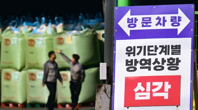 21일 안산시 한 사료업체 앞 위기단계별 방역상황 안내판에 국내 발생 가축 질병이 전국적으로 확산하는 징후가 나타날 때 발령되는 ‘심각’ 단계가 표시돼 있다. 전날 아프리카돼지열병(ASF) 확산 과정에서 오염 사료 유입 가능성이 제기되자 경기도는 도내 혈장단백질 사료 관련 제품에 대해 긴급 사용중지 행정명령을 내리고 일제 점검에 착수했다. 중앙사고수습본부는 ASF 유전자가 검출된 사료의 전국 양돈농장 사용을 중지하도록 권고할 계획이라고 밝혔다. 한편 전남 무안군 현경면의 한 양돈농가에서도 이날 ASF가 확진됐다.조주현기자