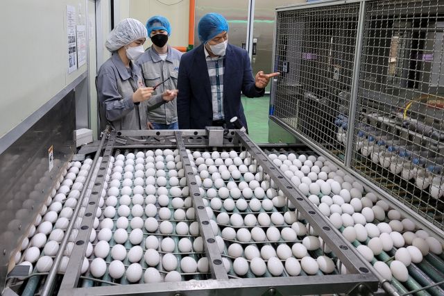 기사의 이해를 돕기 위한 이미지로 직접적 연관은 없습니다. 경기일보DB