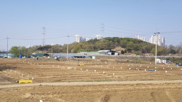 ‘2026년 정약용 도시텃밭’ 분양. 남양주시 제공