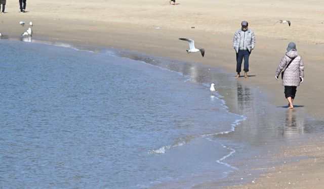 포근한 봄 날씨를 보인 25일 인천 중구 영종도 을왕리 해수욕장을 찾은 한 나들이객들이 바닷물에 발을 담그며 해변을 거닐고 있다.조병석기자