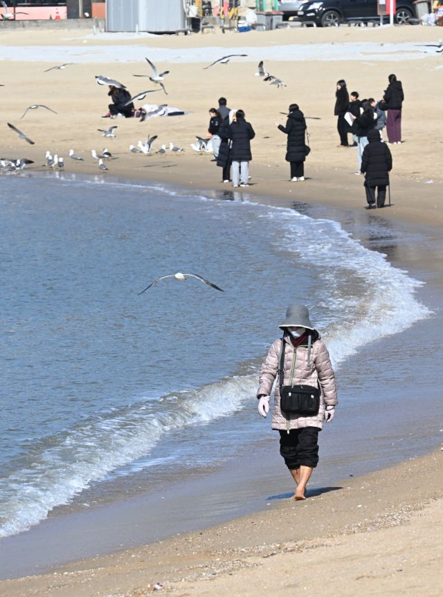 포근한 봄 날씨를 보인 25일 인천 중구 영종도 을왕리 해수욕장을 찾은 한 나들이객들이 바닷물에 발을 담그며 해변을 거닐고 있다.조병석기자