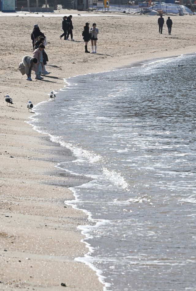 포근한 봄 날씨를 보인 25일 인천 중구 영종도 을왕리 해수욕장을 찾은 나들이객들이 휴식을 취하고 있다.
